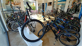 Longo Bikes - Shimano Service Center