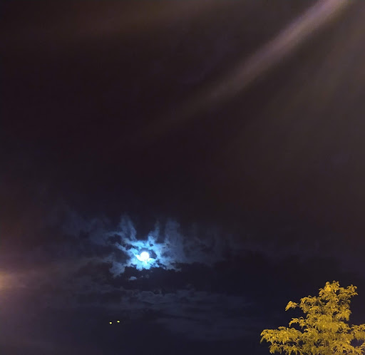 Movie Theater «Cinemark Tinseltown», reviews and photos, 7101 70th Ct, Kenosha, WI 53142, USA