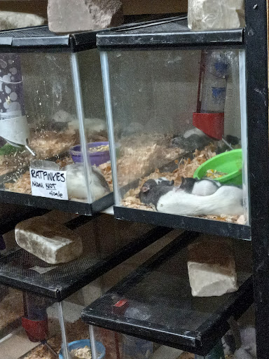 Pet Supply Store «Western Ranch & Pet Supply», reviews and photos, 103 Aegean Way, Vacaville, CA 95687, USA