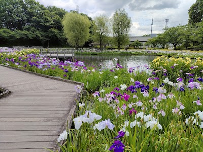 四季の里公園