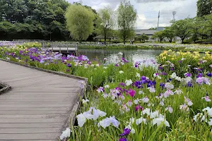Shikinosato Park image