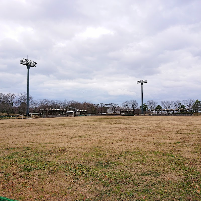 新潟県スポーツ公園 多目的運動広場 南エリア