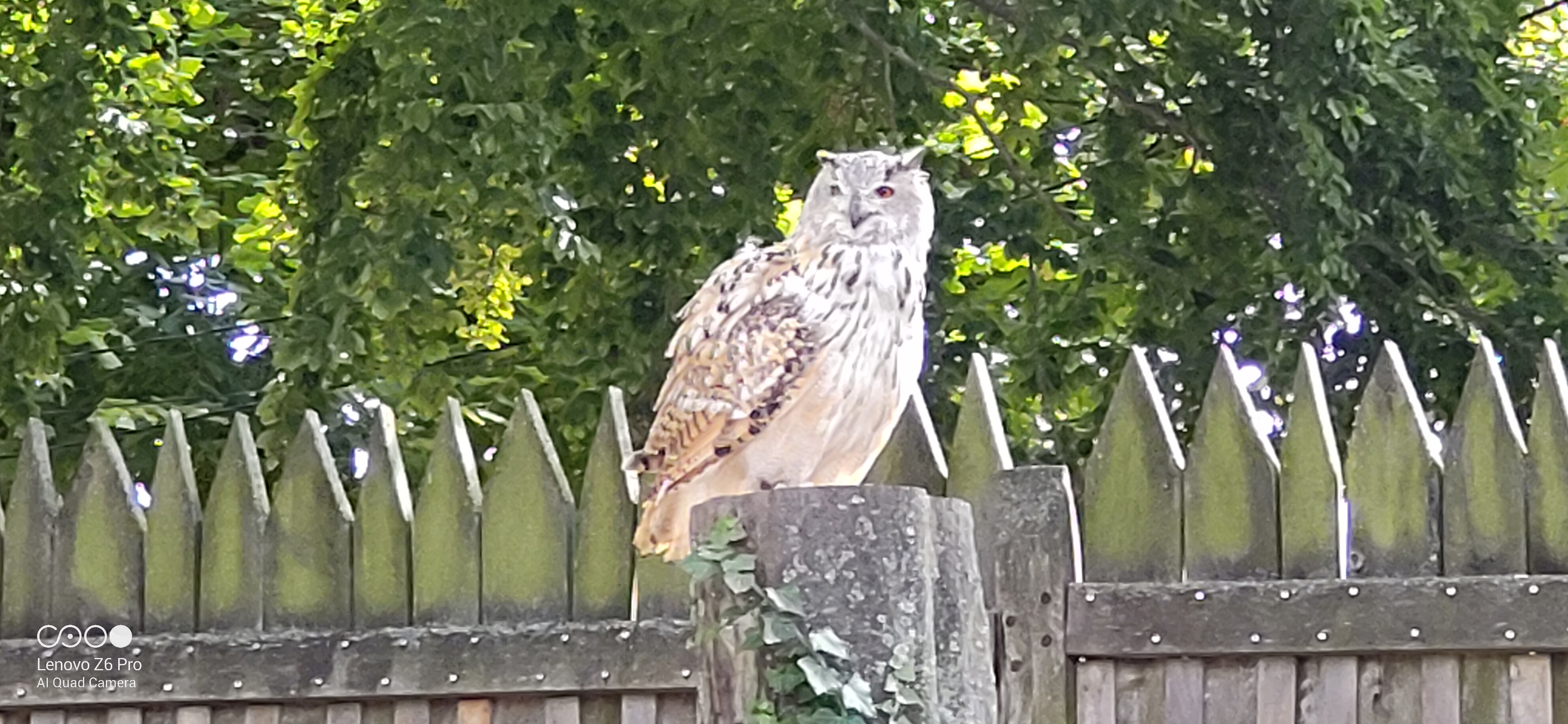 Photo n° 2 de l'avis de Jean.h fait le 19/09/2019 à 10:35
