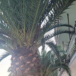 Photo n°5 de l'avis de Melitta.a fait le 19/09/2022 à 13:30 sur le  Hotel Forbisicle Chimini Di Angelo & C. Snc à Tignale