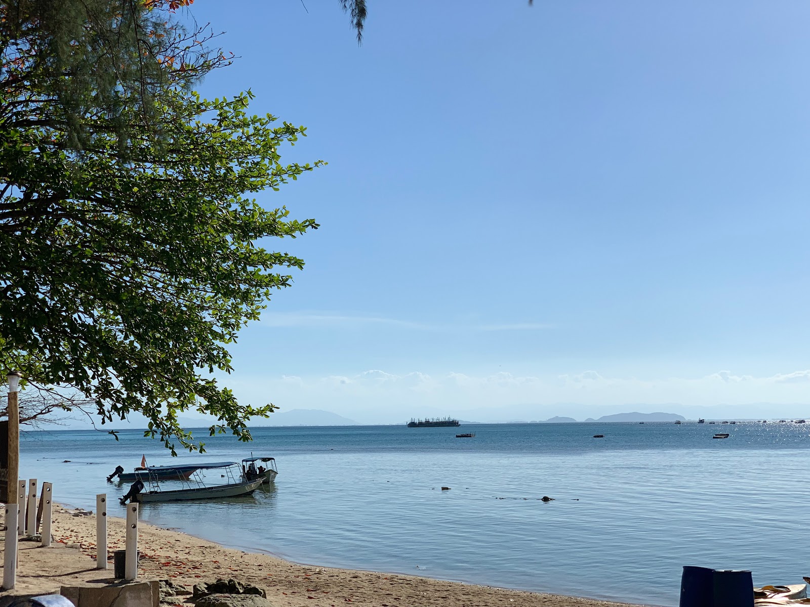 Turtle Bay Beach'in fotoğrafı ve güzel manzarası