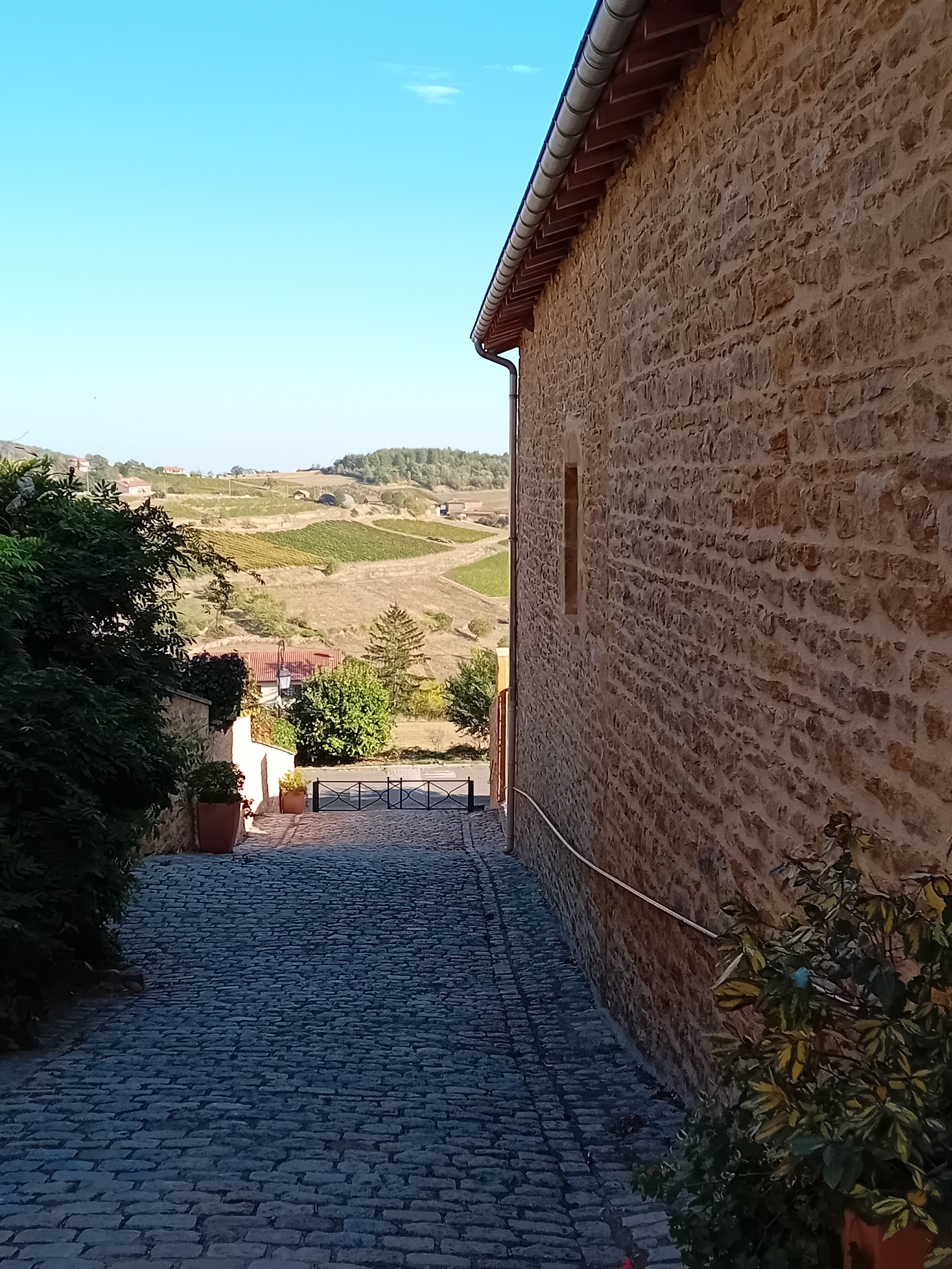 Photo n° 20 de l'avis de martine.e fait le 17/10/2023 à 17:52