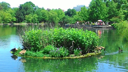 Park «Centennial Park», reviews and photos, 2500 West End Ave, Nashville, TN 37203, USA