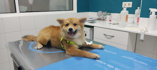 Clínica Veterinaria Felycan en Alicante