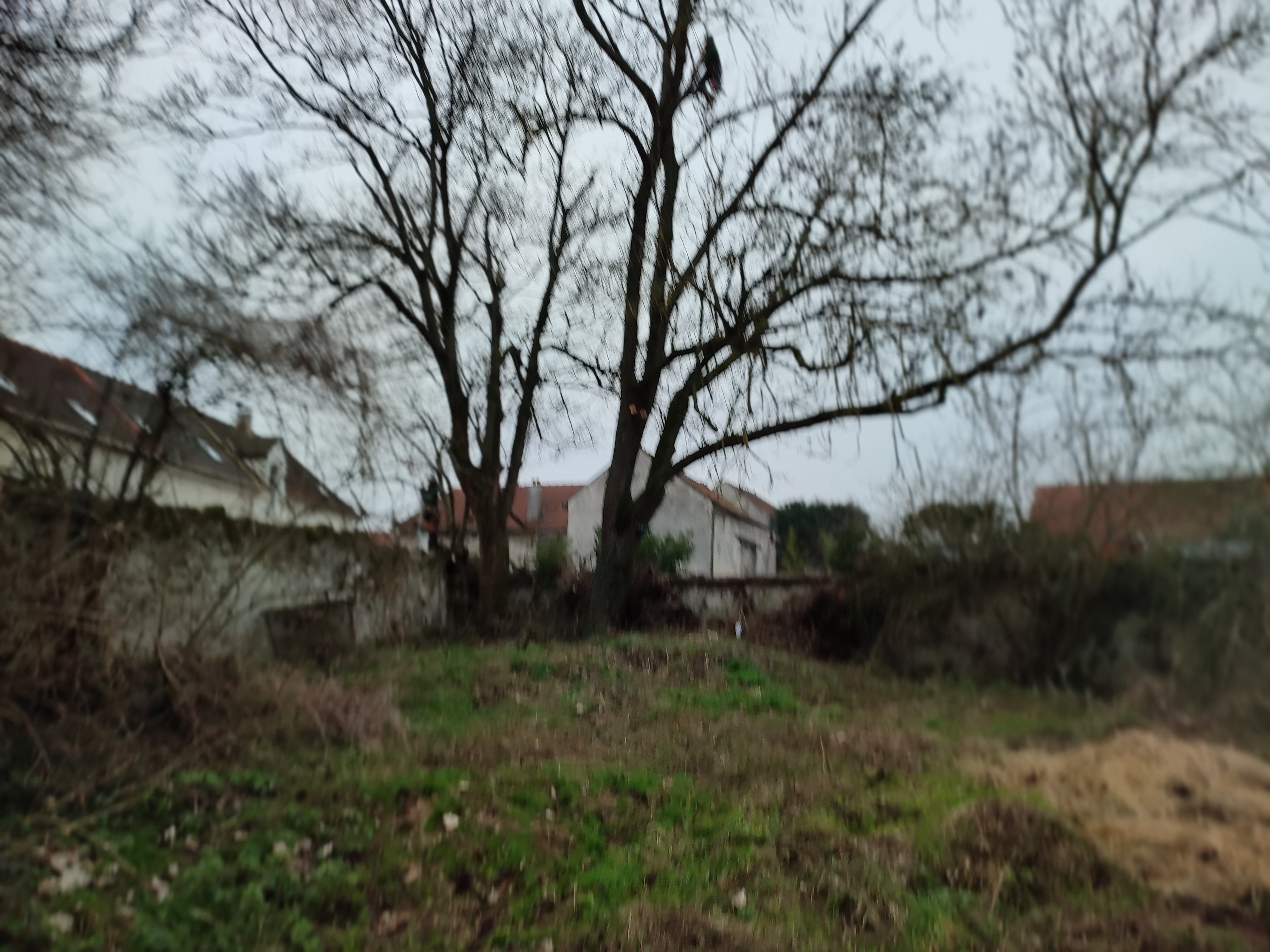 Photo n° 1 de l'avis de Jean.e fait le 26/01/2023 à 17:32