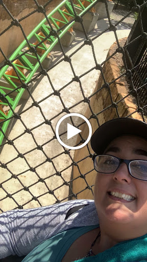 Roller Coaster «Cheetah Hunt», reviews and photos, 10165 N Malcolm McKinley Dr, Tampa, FL 33612, USA