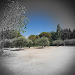 Photo n°2 de l'avis de Rosalia.a fait le 01/08/2023 à 17:57 sur le  Filici di Paolino Scibetta à Cammarata