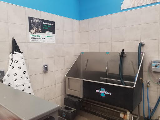 Pet Supply Store «Pet Supplies Plus», reviews and photos, 319 Massachusetts Ave, Lunenburg, MA 01462, USA