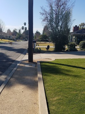 Scenic Drive Gallery - photo 1