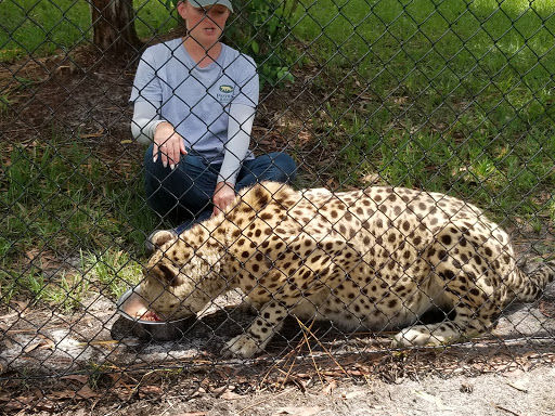 Tourist Attraction «Panther Ridge Conservation Center», reviews and photos, 14755 Palm Beach Point Blvd, Wellington, FL 33414, USA