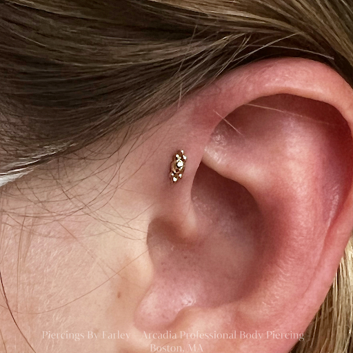 Explore tattoo ideas for 16 year olds, creative tattoo ideas in Boston, available at Arcadia Body Piercing