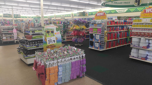 Dollar Store «Dollar Tree», reviews and photos, 8300 W Farm to Market Rd 78, Converse, TX 78109, USA