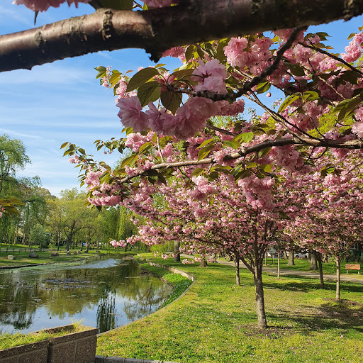 State Park «Valley Stream State Park», reviews and photos, Valley Stream State Park Rd, Valley Stream, NY 11580, USA