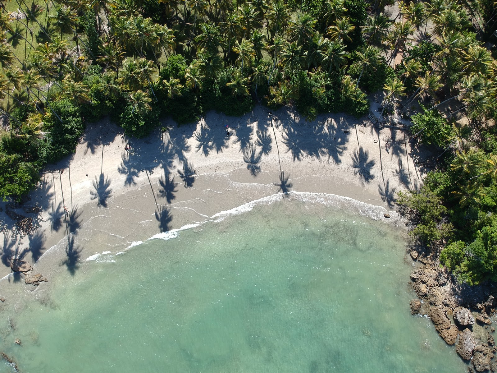 Praia de Tassimirim photo #9