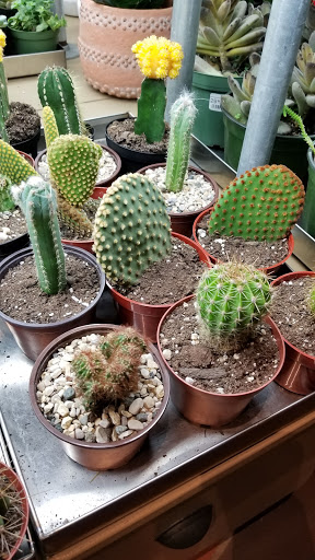 General Store «MOD GEN - A Modern General Store», reviews and photos, 211 N Broadway, Milwaukee, WI 53202, USA