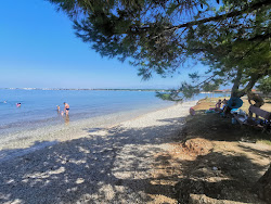 Plaza Punta'in fotoğrafı ve yerleşim