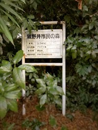 親野井市民の森