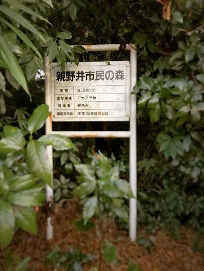親野井市民の森