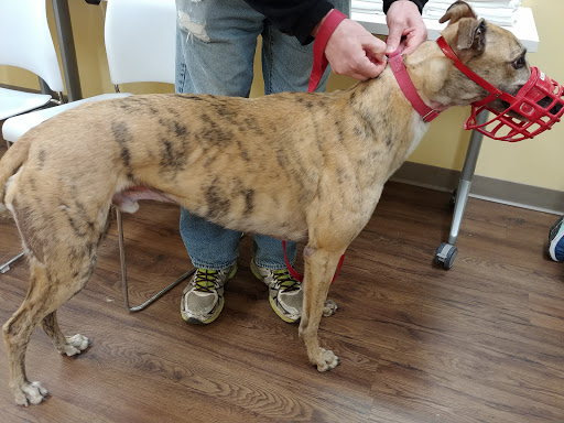 Pet Supply Store «PetPeople», reviews and photos, 3330 Washtenaw Ave, Ann Arbor, MI 48104, USA