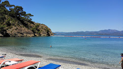 Towered beach'in fotoğrafı plaj tatil beldesi alanı