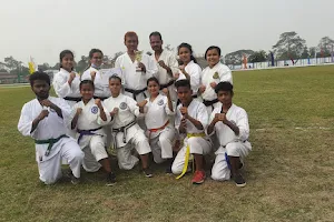 Amitava Roy's Karate Academy image