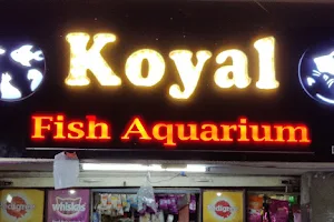 Koyal Fish Aquarium image