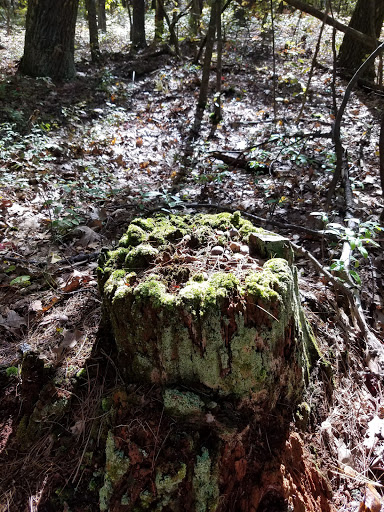 Nature Preserve «Summer Star Wildlife Sanctuary», reviews and photos, 690 Linden St, Boylston, MA 01505, USA