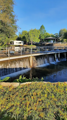 R. Dr. Domingos da Silva Coelho 36