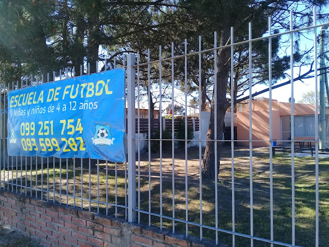 PRIMERA DIVISION - SALON DE FIESTAS - FUTBOL 5 - Campo de fútbol
