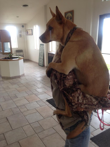 White Bluffs Veterinary Hospital