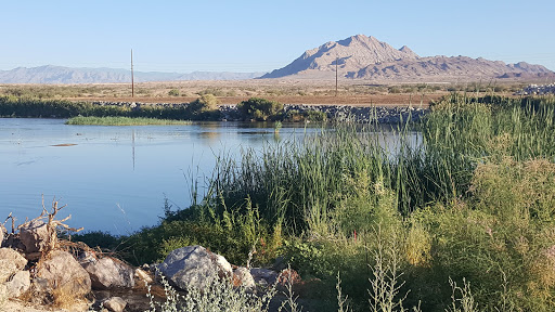 Clark County Wetlands Park Las Vegas