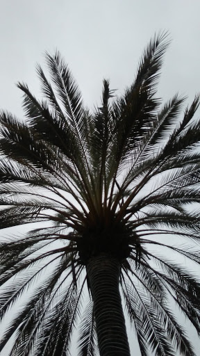 Museum «The Holy Land Experience», reviews and photos, 4655 Vineland Rd, Orlando, FL 32811, USA