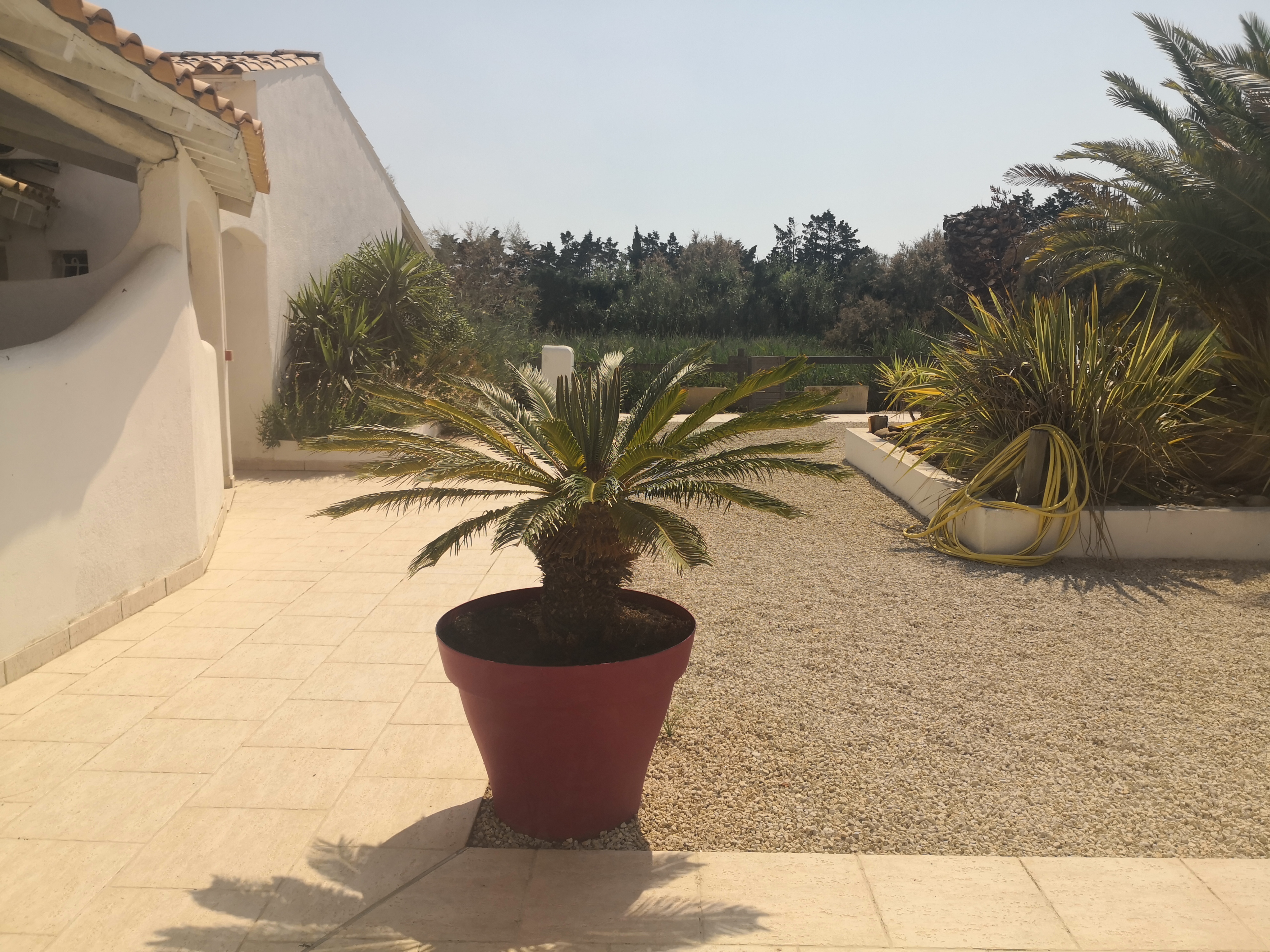 Photo n° 25 de l'avis de Pascal. fait le 04/07/2019 à 12:59
