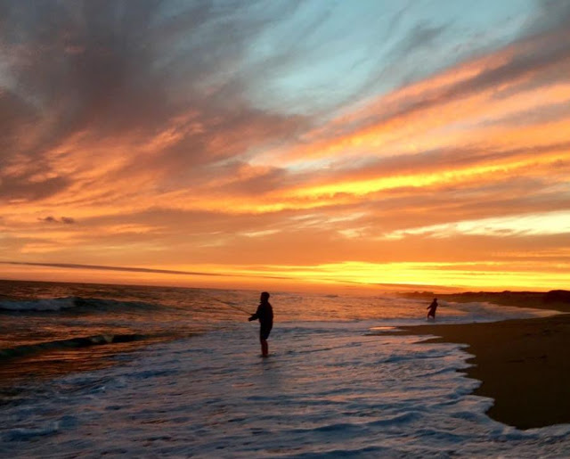 Capt. Tom's Charters