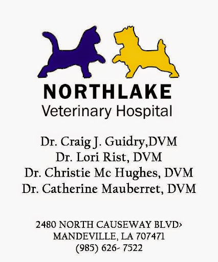 Lori C. Rist, DVM image