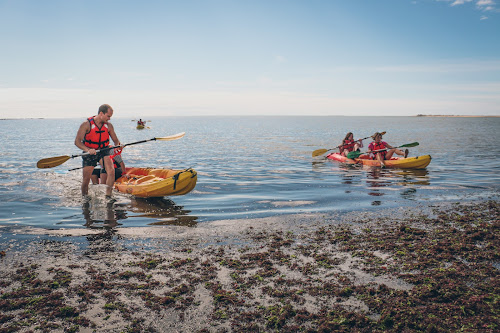 Agence de visites touristiques en canoë-kayak Canoë Salé - Balade en canoë à Loix Loix