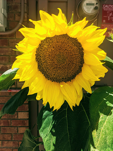 Bowling Alley «Chaparral 300 - We may close 1 hour early Sun-Thurs depending on volume, please call for details.», reviews and photos, 4191 Chino Hills Pkwy, Chino Hills, CA 91709, USA