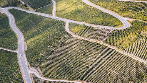 VINICURIEUX à Messas