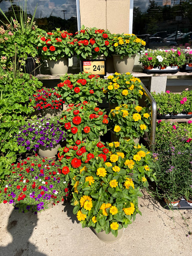 Grocery Store «Star Market», reviews and photos, 2040 Commonwealth Avenue, Auburndale, MA 02466, USA