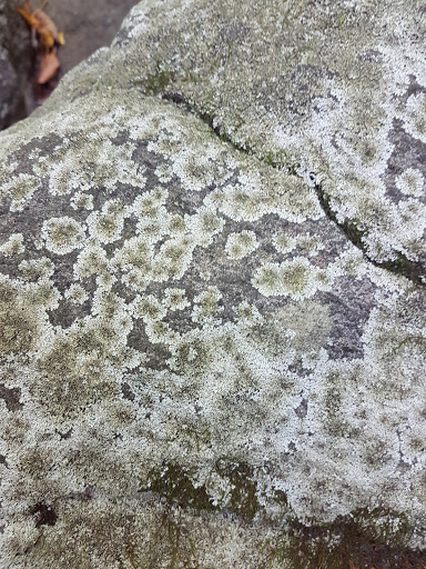 Park «Bechtel Park», reviews and photos, Naamans Rd, Claymont, DE 19703, USA