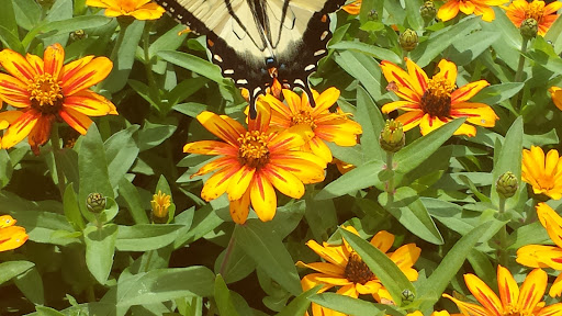 National Park «Home of Franklin D. Roosevelt National Historic Site», reviews and photos