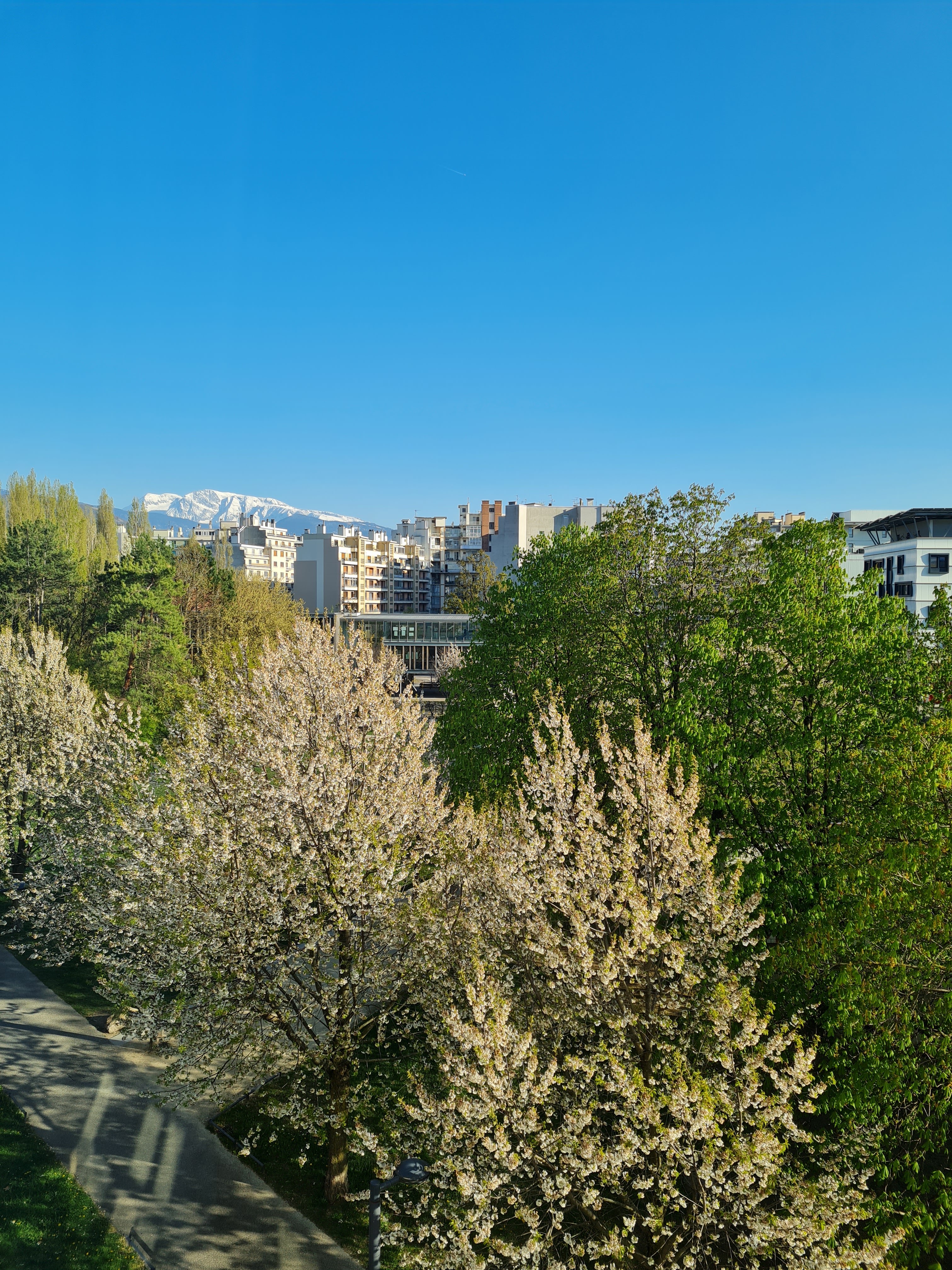 Photo n° 4 de l'avis de Super.o fait le 07/07/2019 à 06:17
