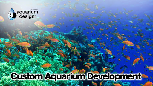 Aquarium «Aquarium Design International», reviews and photos, 9150 Belvedere Rd #110, Royal Palm Beach, FL 33411, USA