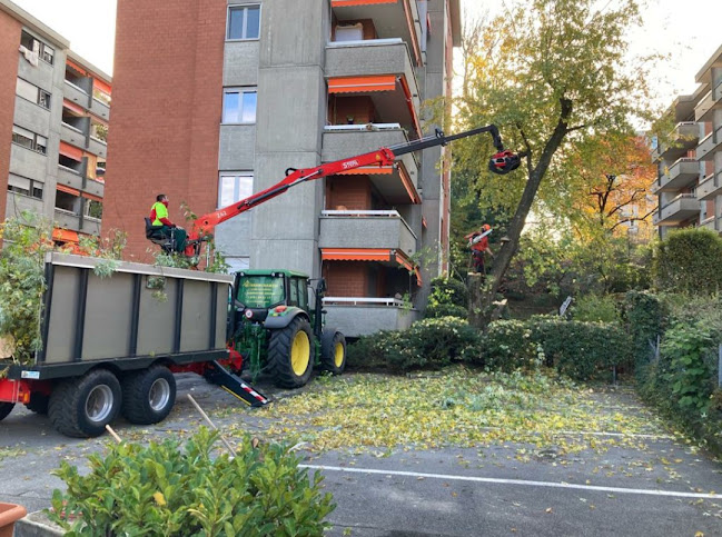 Via Lugano, 6953 Capriasca, Schweiz