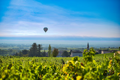 Domaine des rosiers / Balvay Père et Fils à Chénas