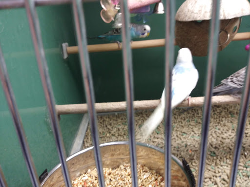 Pet Supply Store «Pet Club Santa Rosa», reviews and photos, 1935 Santa Rosa Ave, Santa Rosa, CA 95407, USA